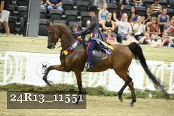24R13_11551 thumbnail