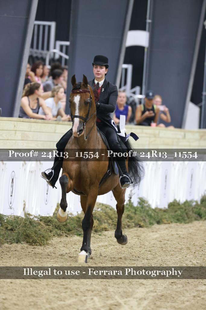 Proof Number 24R13_11554