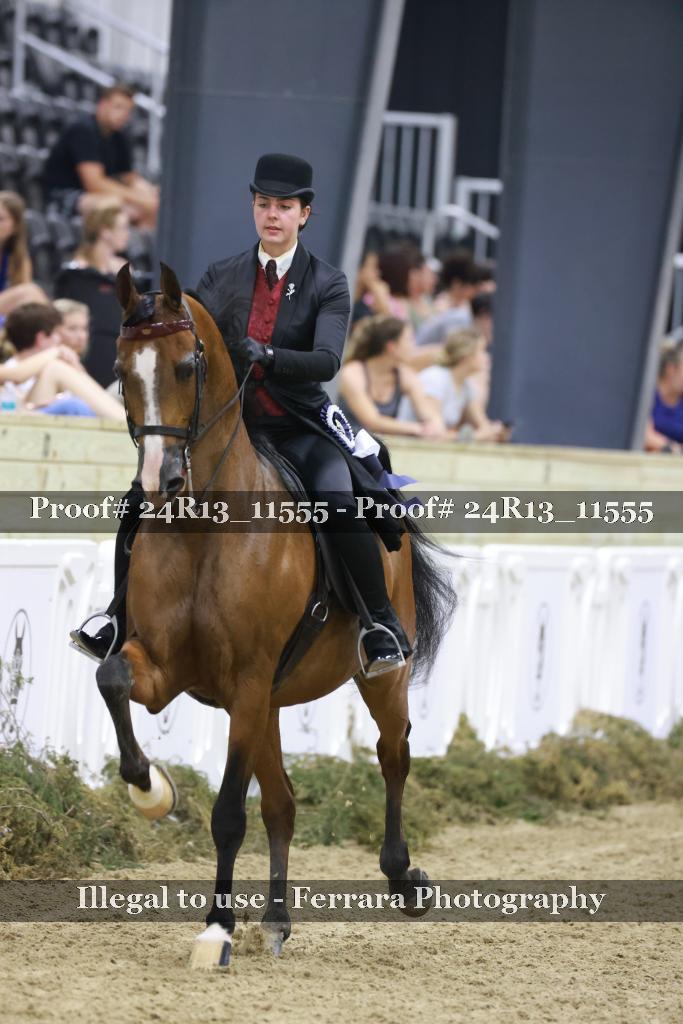 Proof Number 24R13_11555