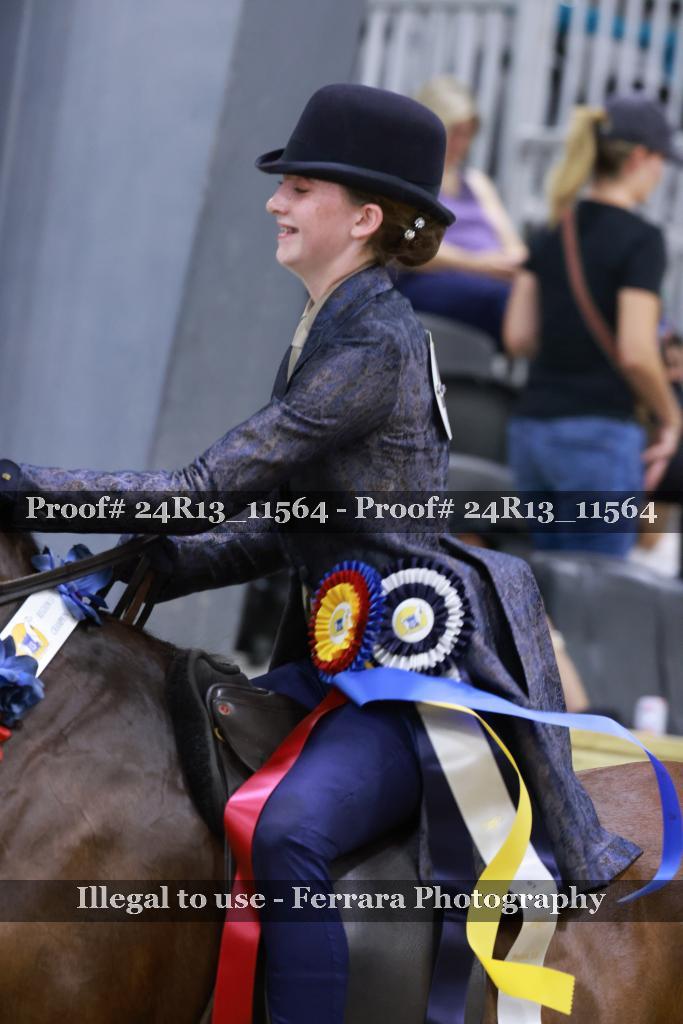 Proof Number 24R13_11564