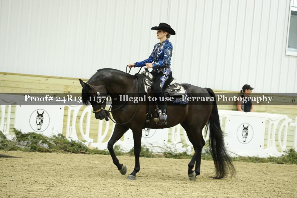 Proof Number 24R13_11570