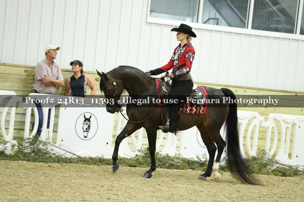 Proof Number 24R13_11593