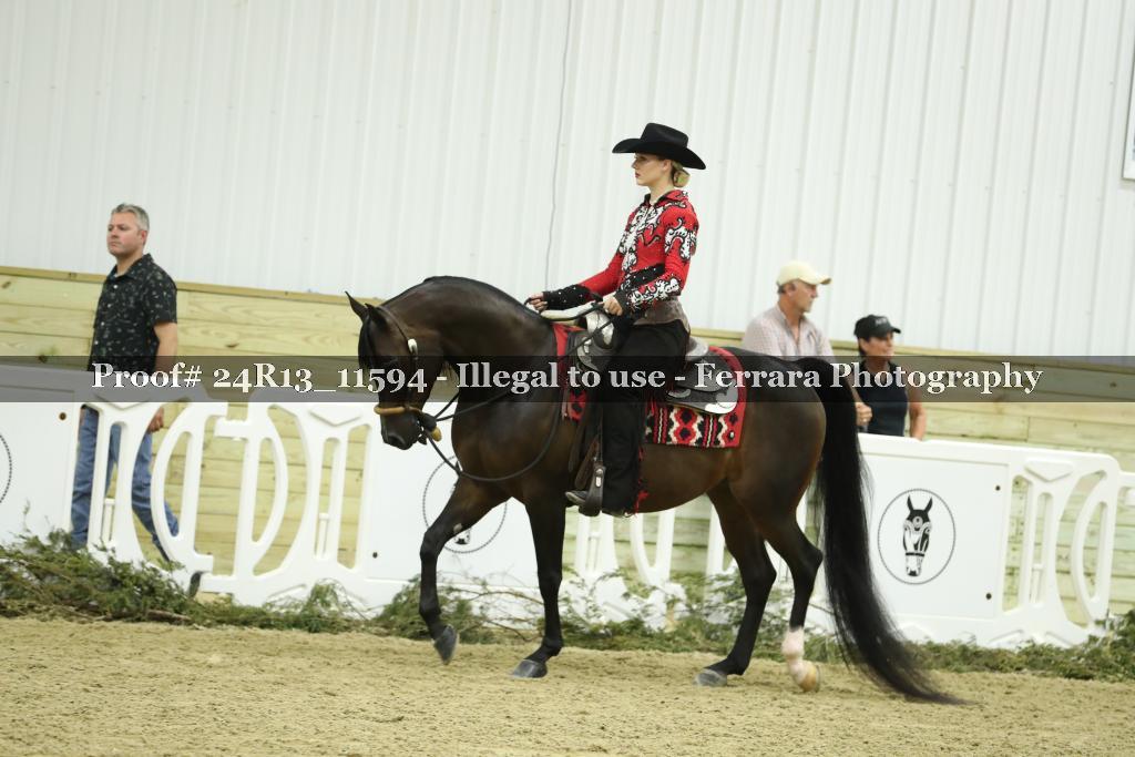 Proof Number 24R13_11594