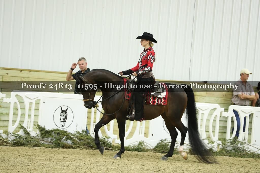 Proof Number 24R13_11595