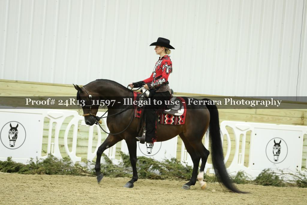 Proof Number 24R13_11597