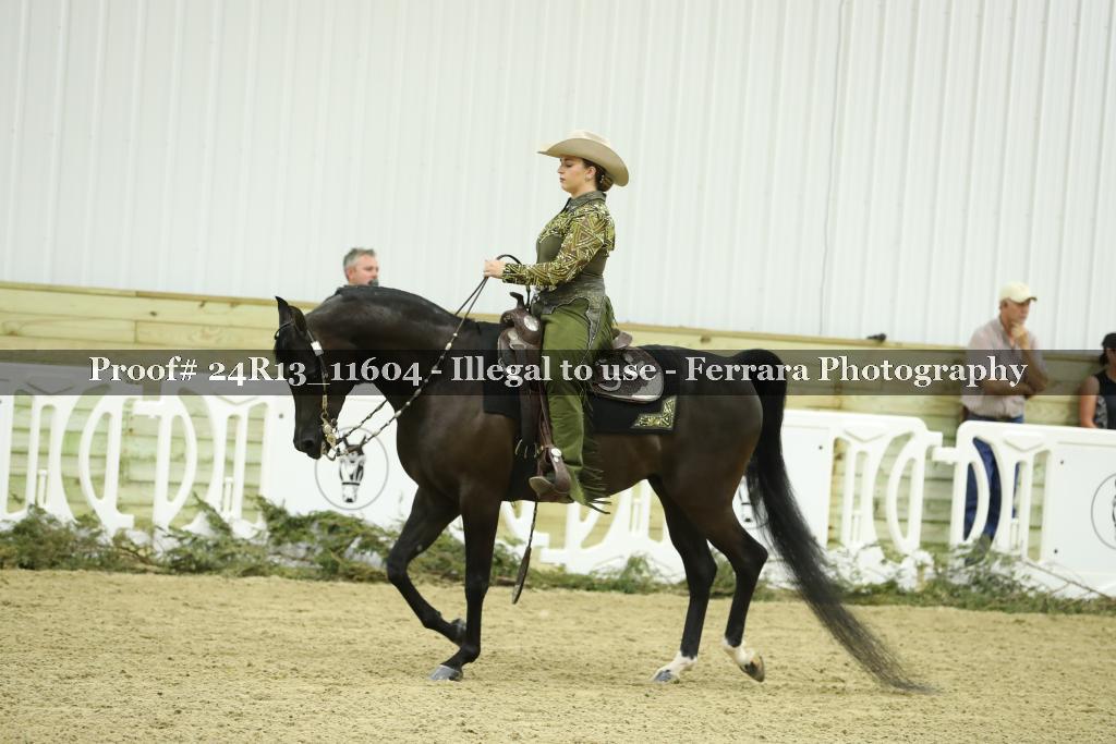 Proof Number 24R13_11604
