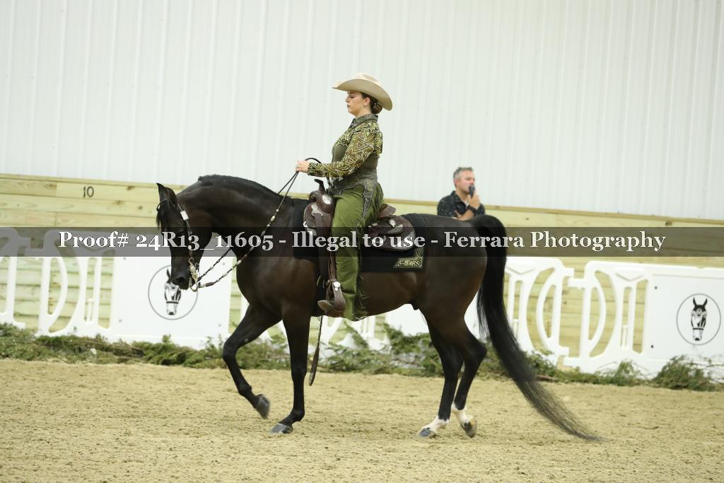Proof Number 24R13_11605