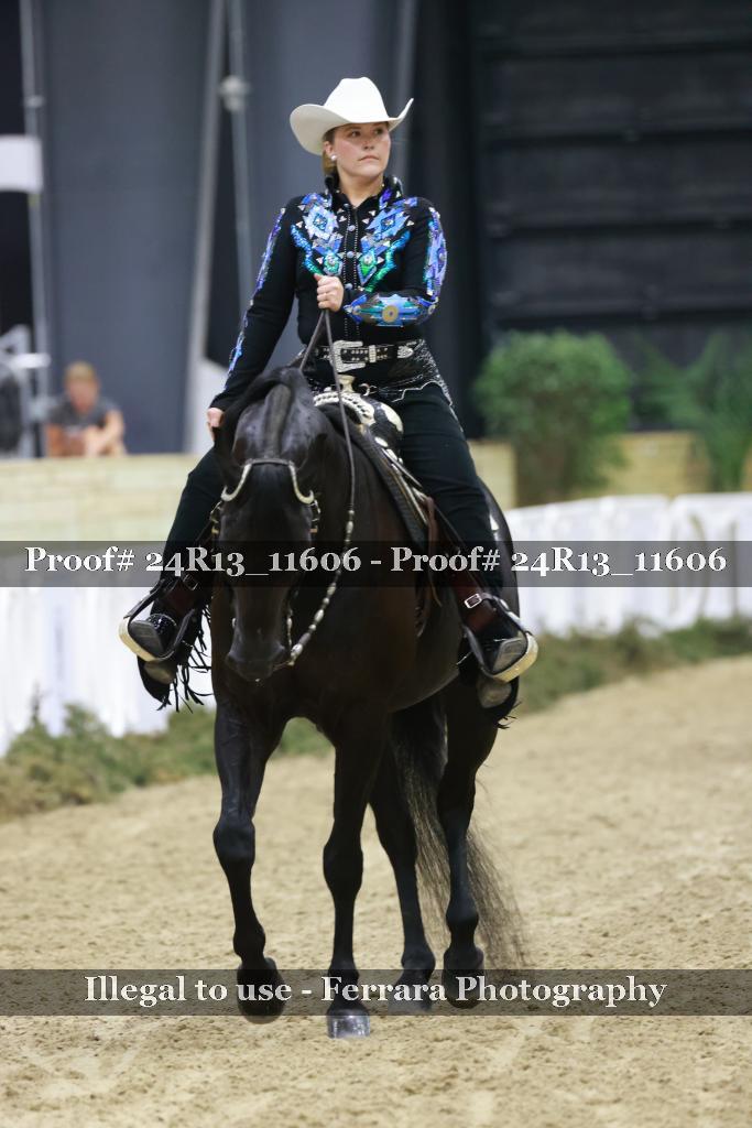 Proof Number 24R13_11606