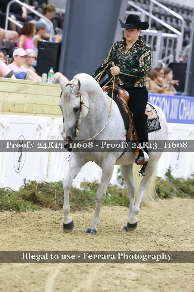 Proof Number 24R13_11608