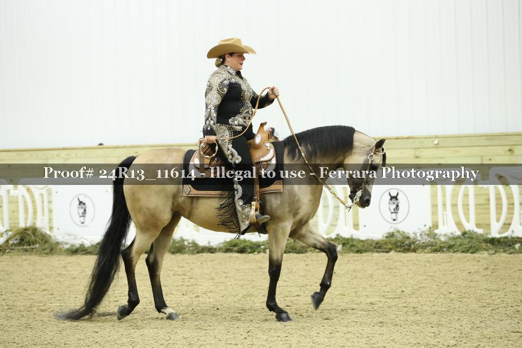 Proof Number 24R13_11614