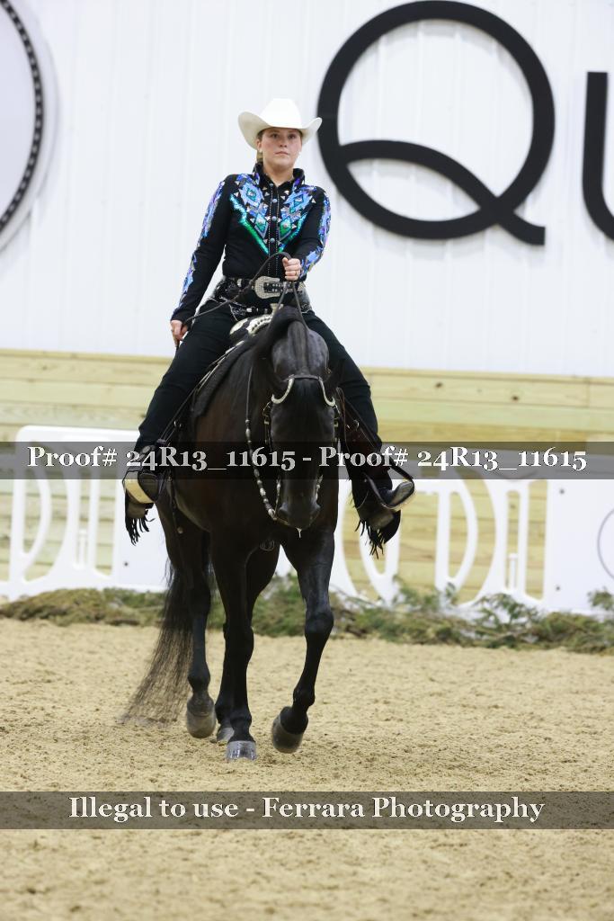 Proof Number 24R13_11615