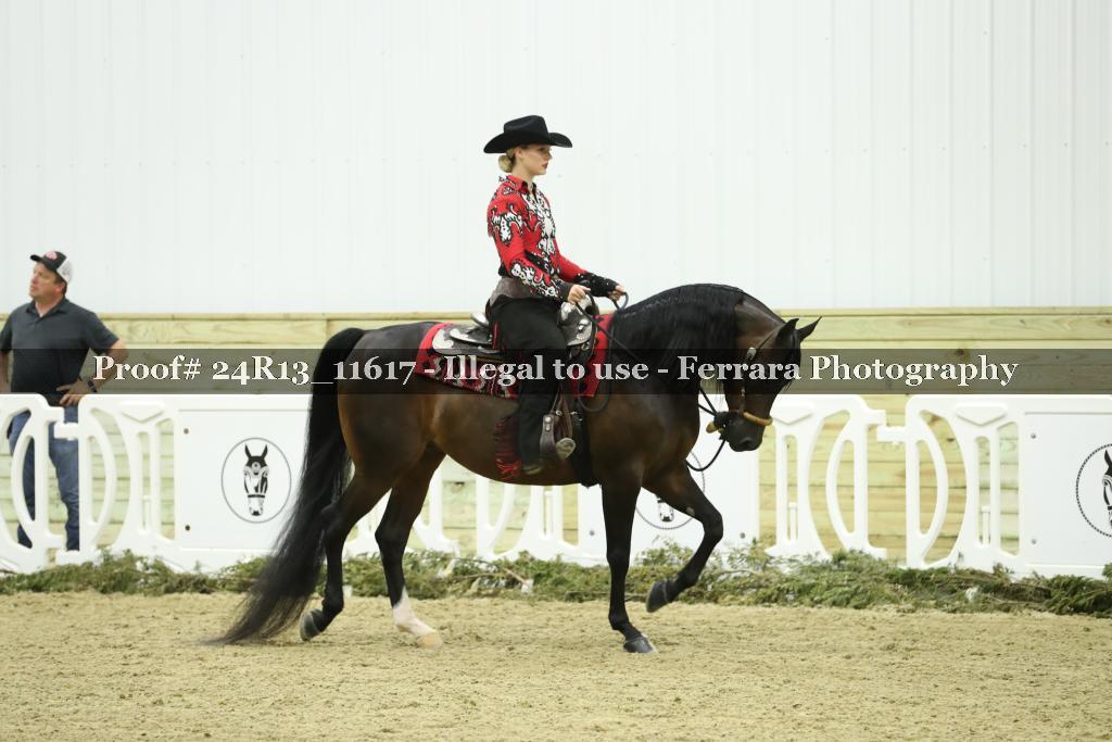 Proof Number 24R13_11617