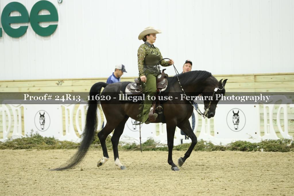 Proof Number 24R13_11620