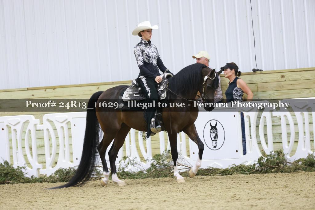 Proof Number 24R13_11629