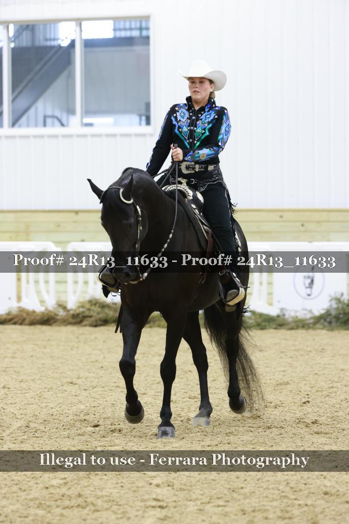 Proof Number 24R13_11633