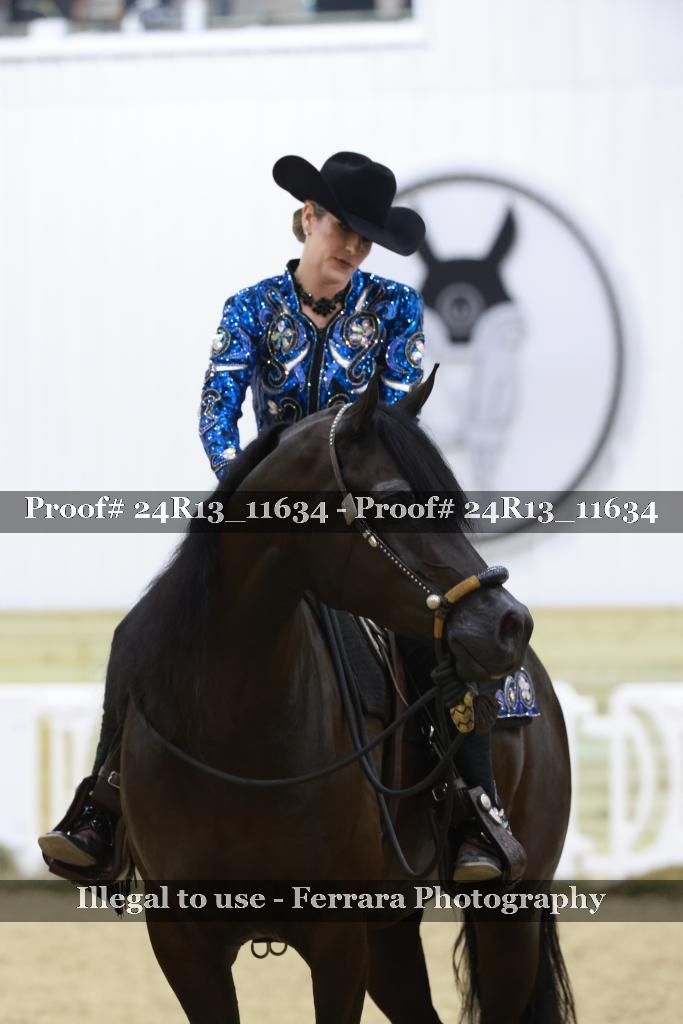 Proof Number 24R13_11634