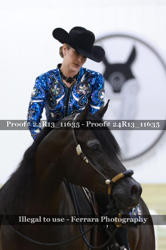Proof Number 24R13_11635