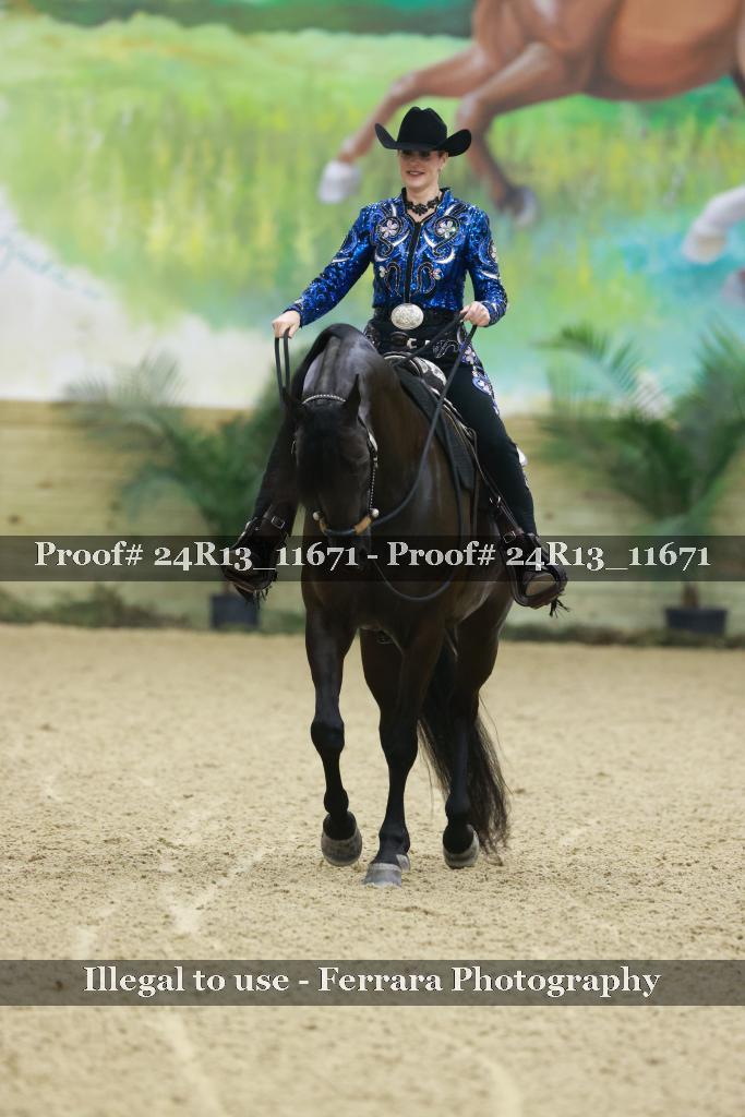 Proof Number 24R13_11671