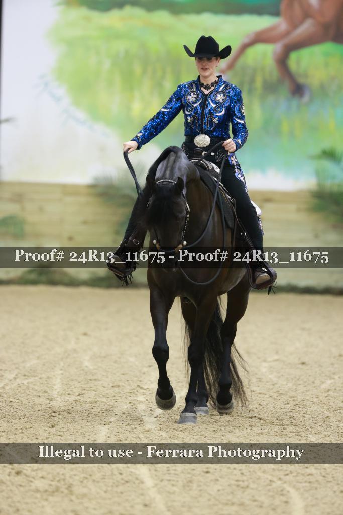 Proof Number 24R13_11675