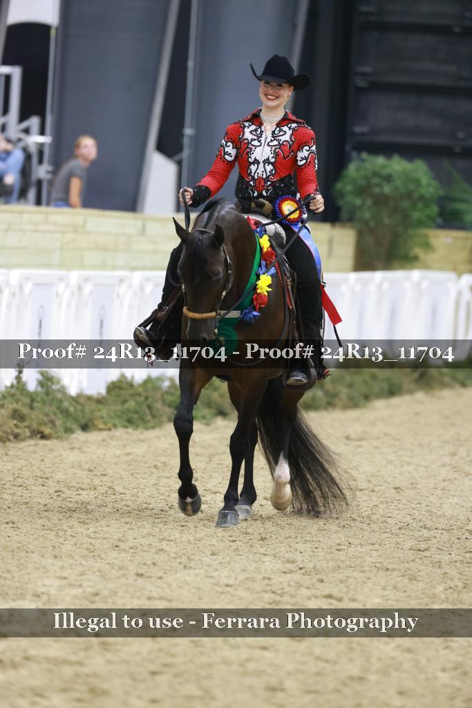 Proof Number 24R13_11704