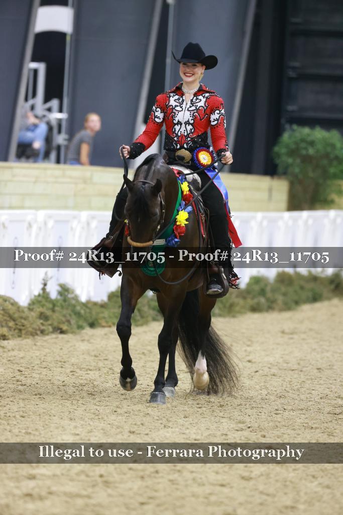 Proof Number 24R13_11705