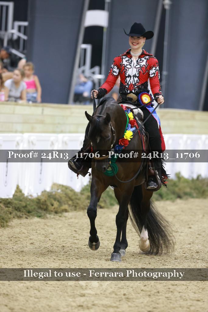 Proof Number 24R13_11706