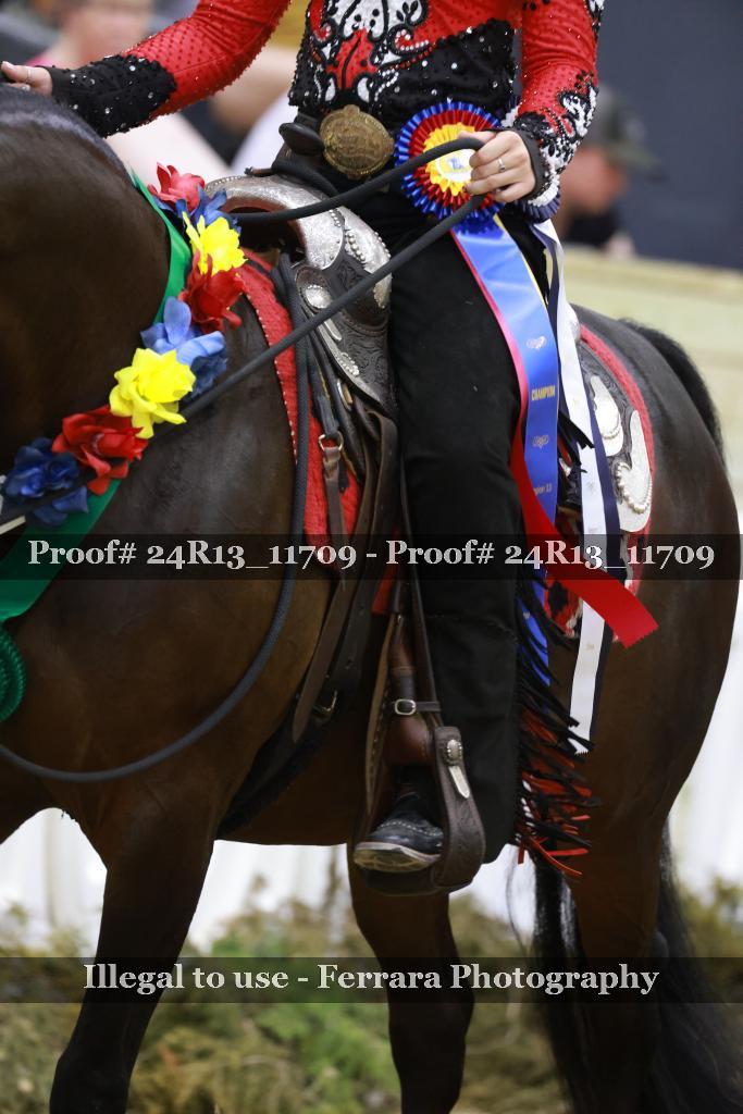 Proof Number 24R13_11709