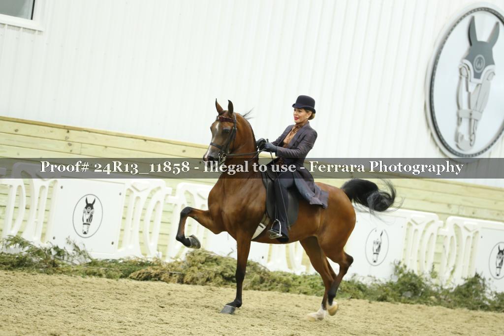 Proof Number 24R13_11858
