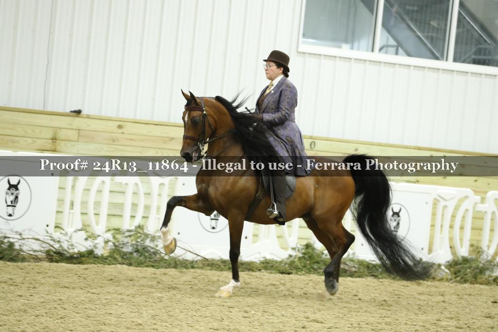 Proof Number 24R13_11864