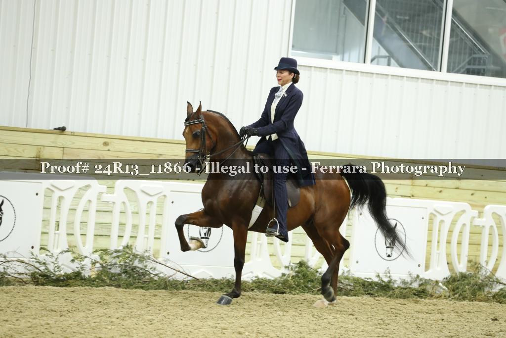 Proof Number 24R13_11866
