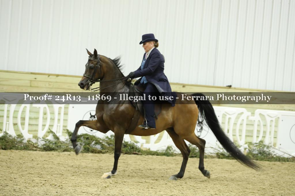 Proof Number 24R13_11869