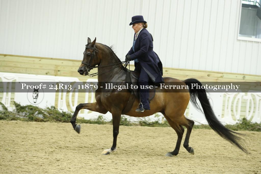 Proof Number 24R13_11879