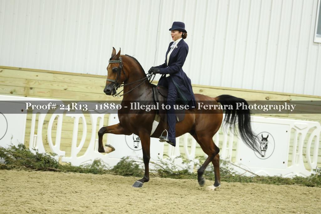 Proof Number 24R13_11880