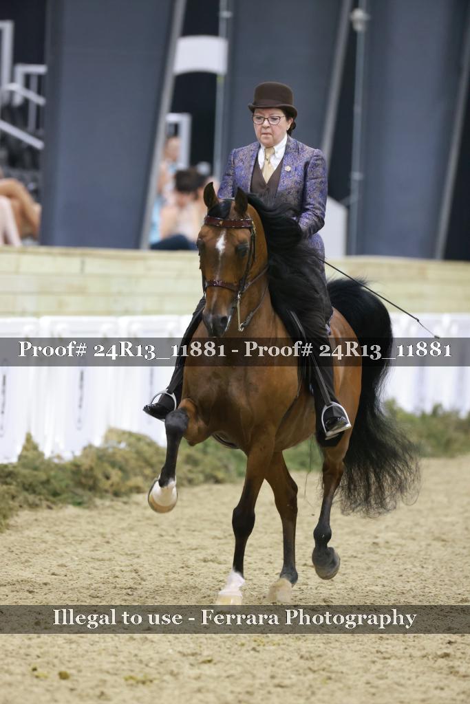 Proof Number 24R13_11881