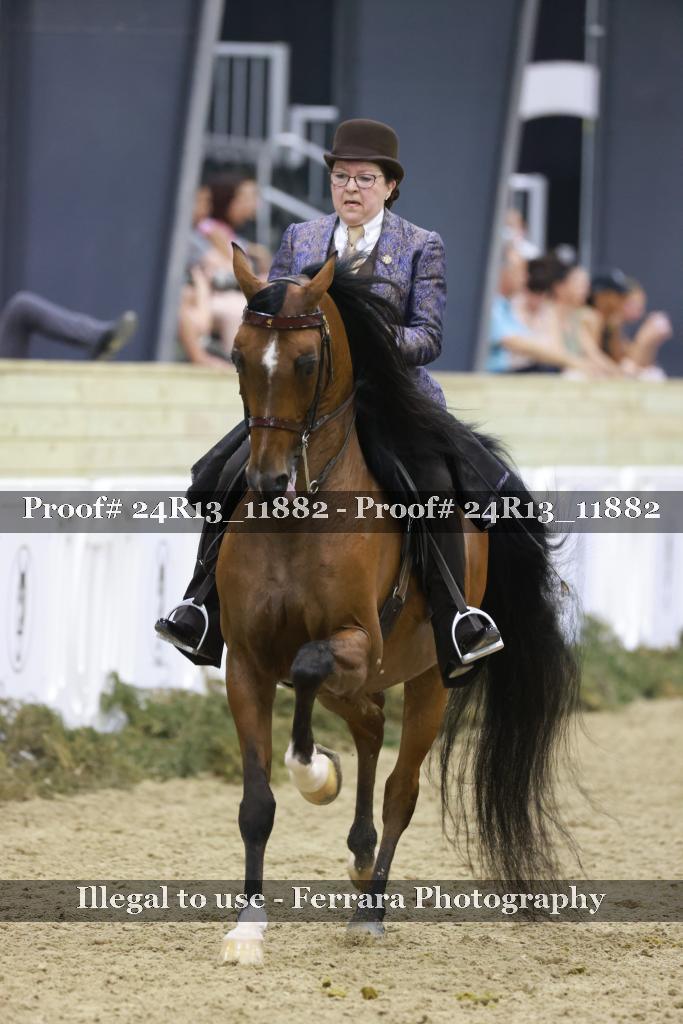 Proof Number 24R13_11882