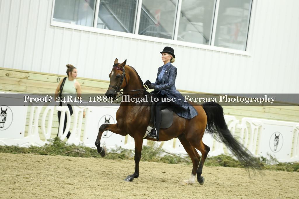 Proof Number 24R13_11883