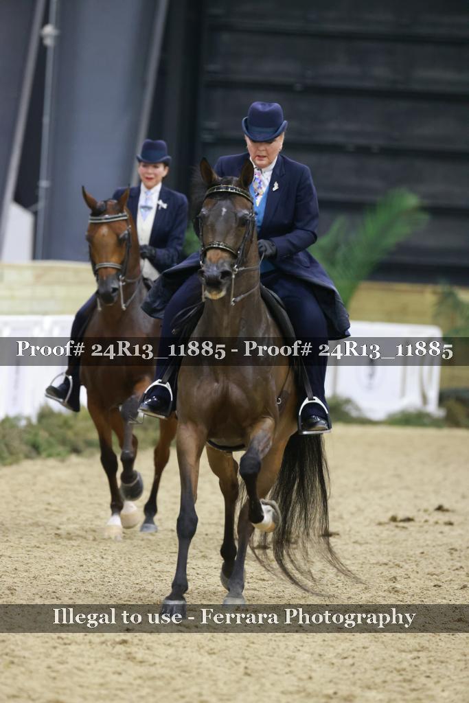 Proof Number 24R13_11885