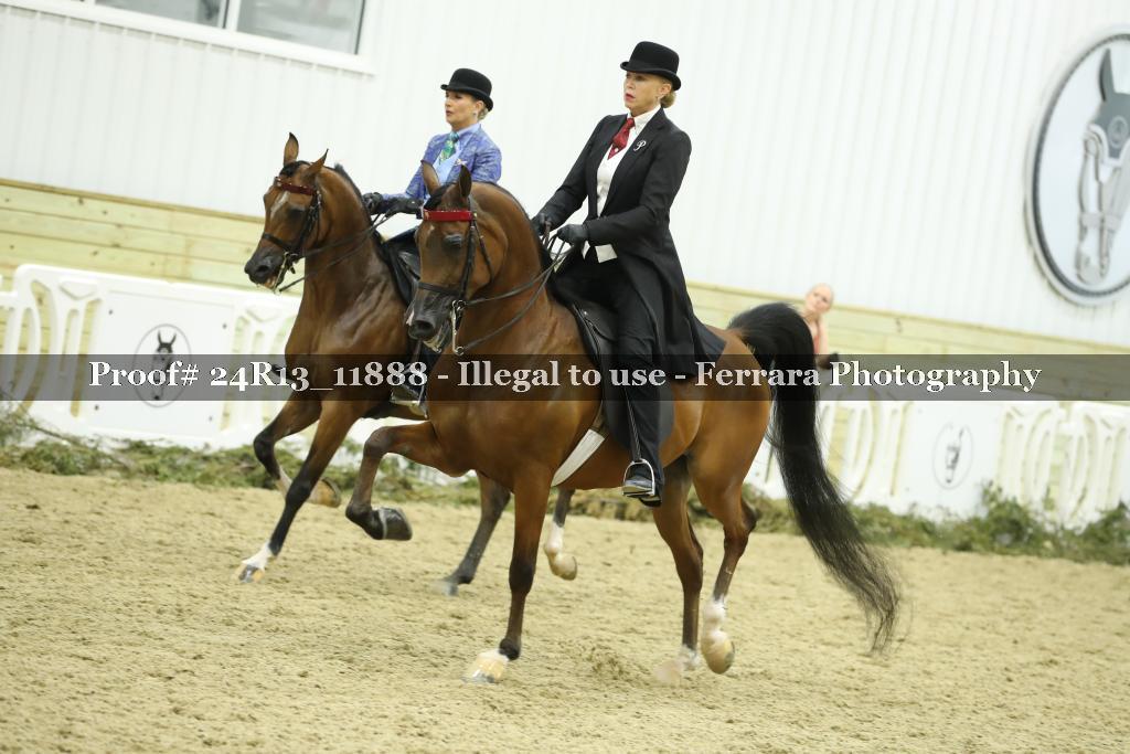 Proof Number 24R13_11888