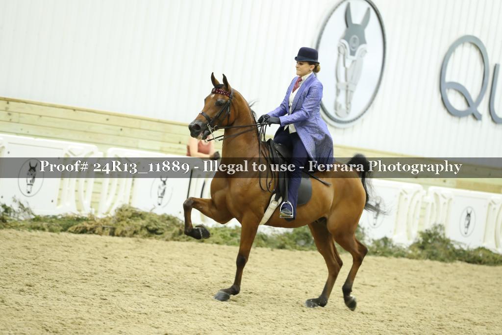 Proof Number 24R13_11889