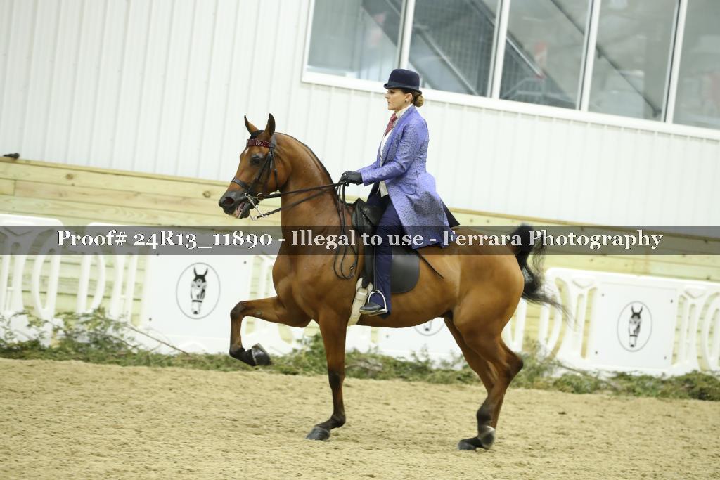 Proof Number 24R13_11890