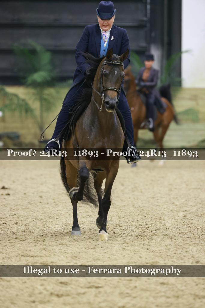 Proof Number 24R13_11893