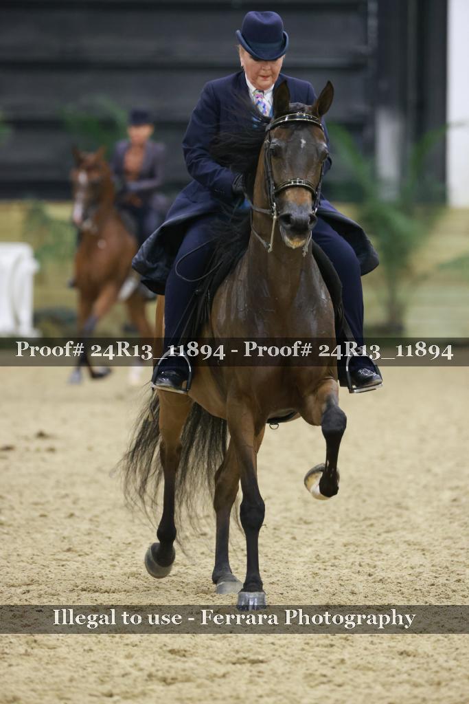 Proof Number 24R13_11894