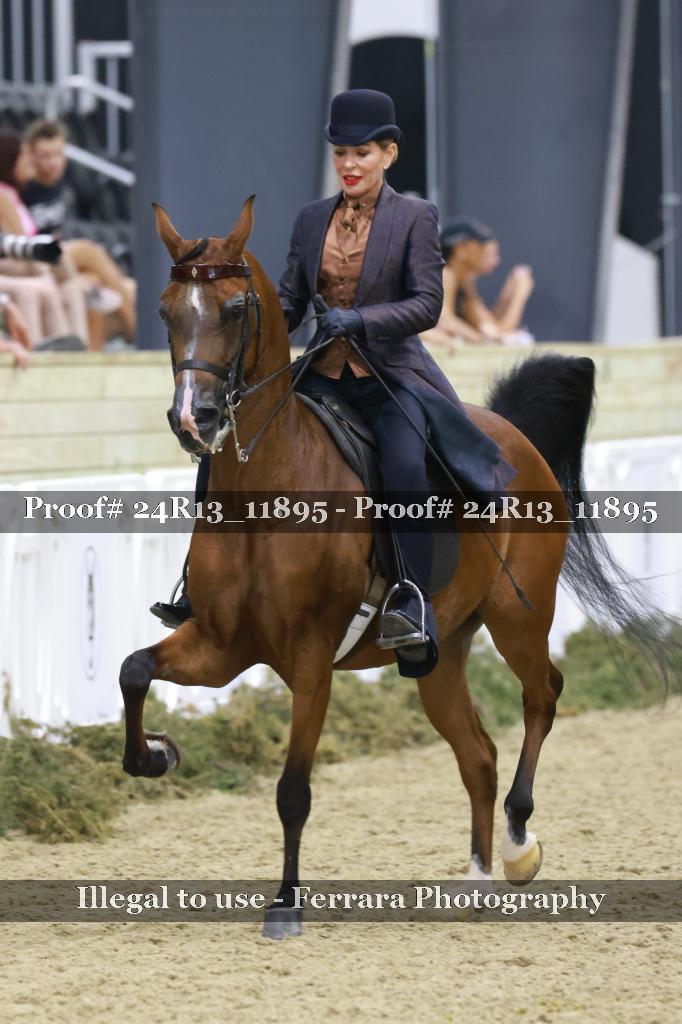 Proof Number 24R13_11895