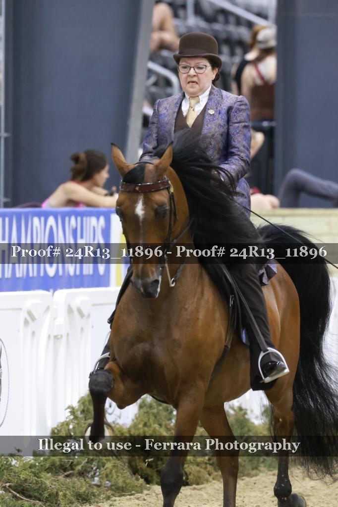 Proof Number 24R13_11896