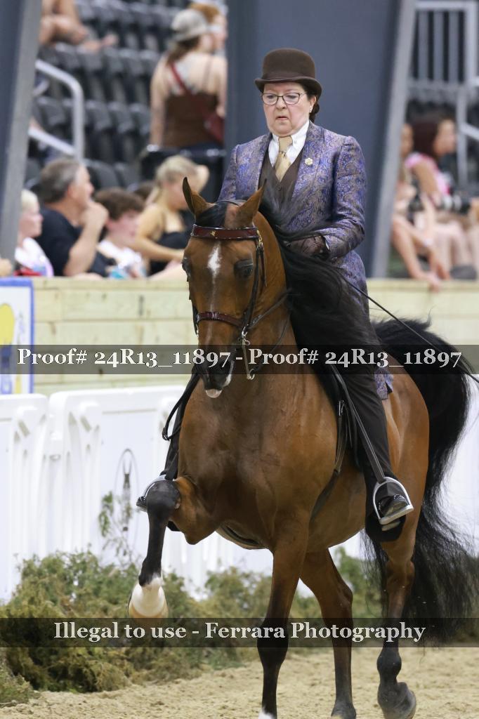 Proof Number 24R13_11897