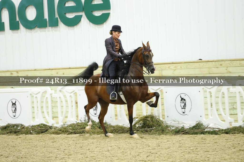 Proof Number 24R13_11899