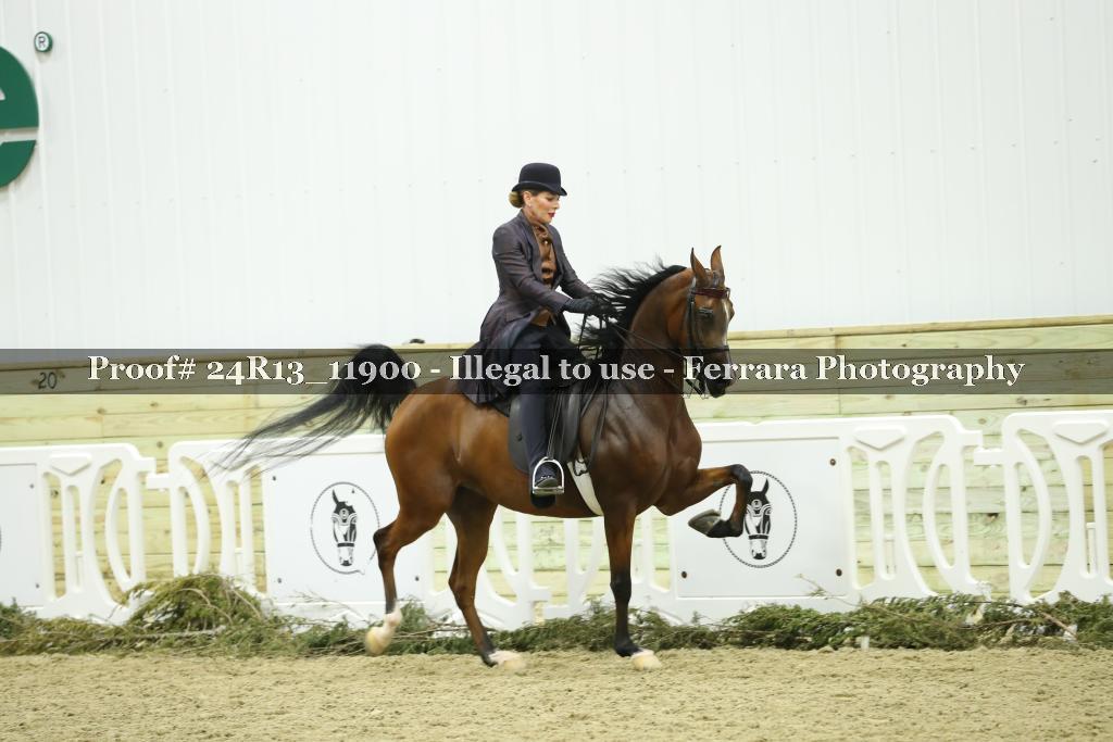 Proof Number 24R13_11900