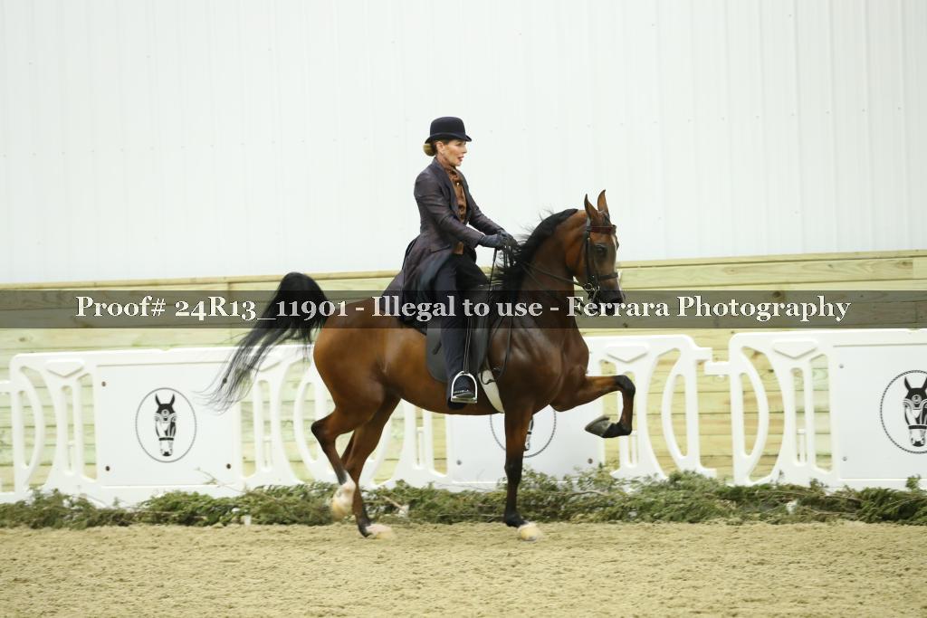 Proof Number 24R13_11901