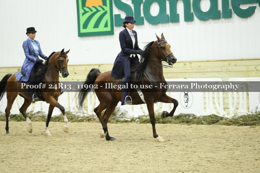 Proof Number 24R13_11902