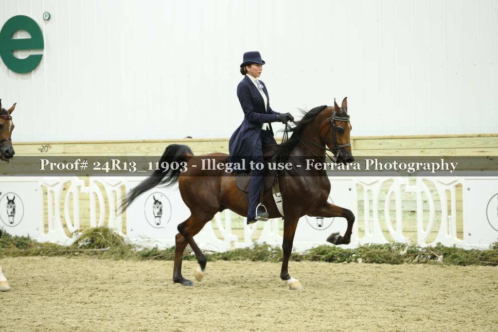 Proof Number 24R13_11903